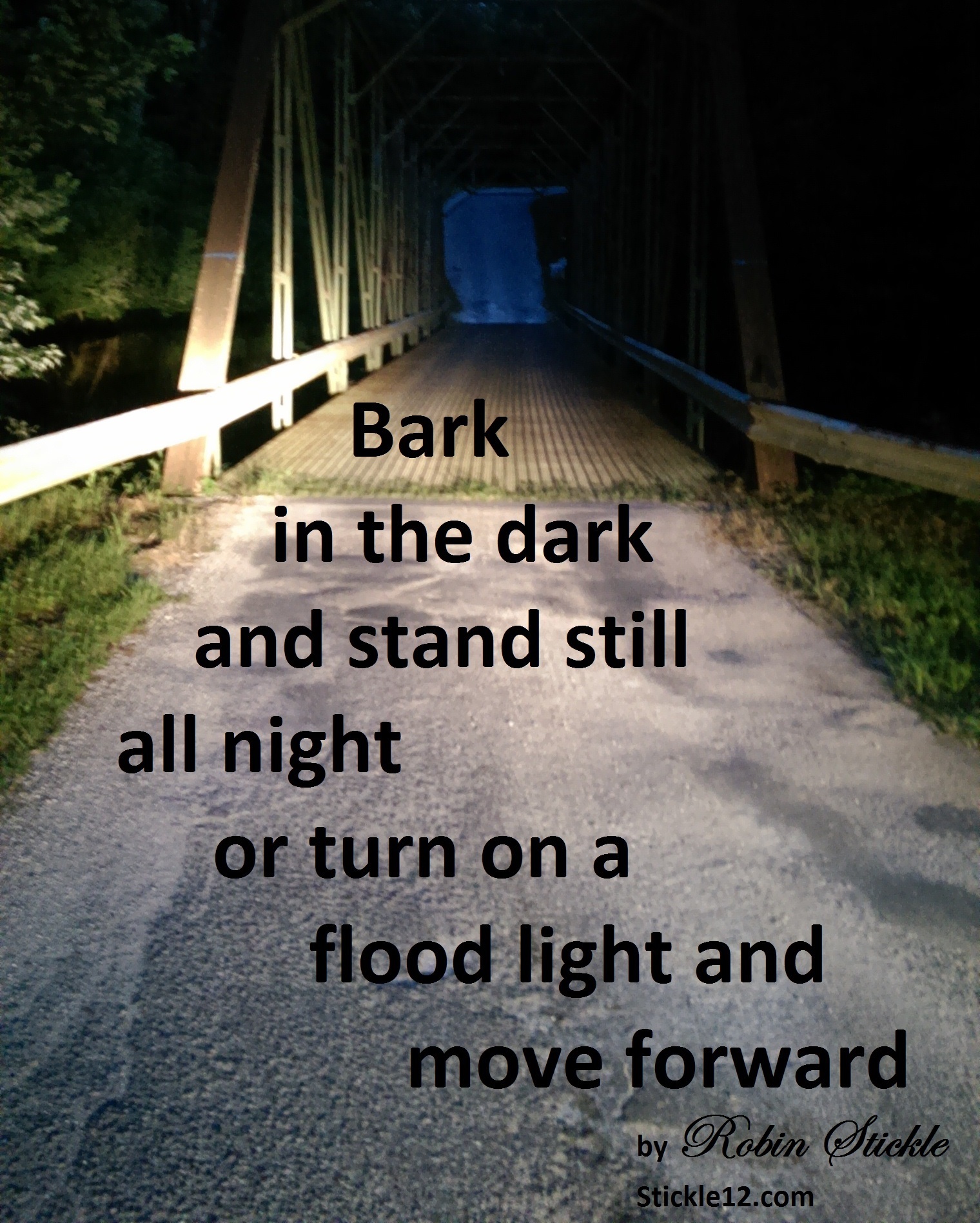 Meme on taking action. Picture - spotlight shining across a bridge at night with a steep grade showing on the other side. Words are "Bark in the dark and stand still all night or turn on a flood light and move forward" signed "by Robin Stickle Stickle12.com