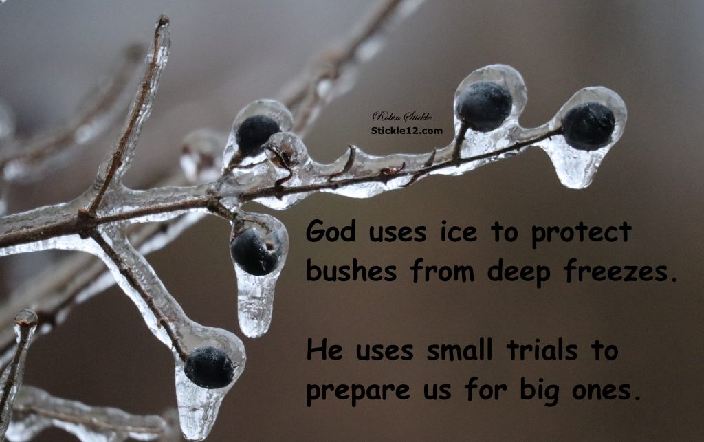Meme with ice covered branches and buds - God uses ice to protect bushes from deep freezes. He uses small trials to prepare us for big ones.
