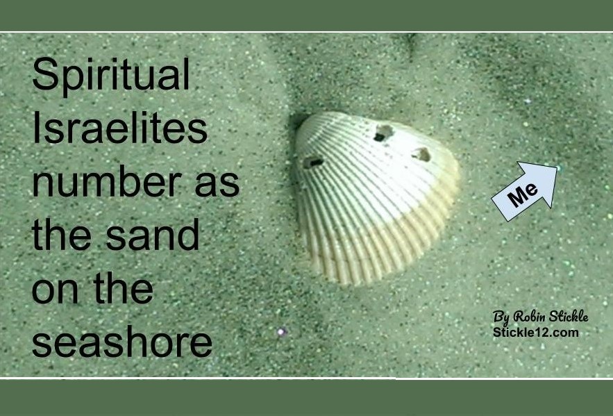 meme of sand on a sea shore with the words Spiritual Isrealites number as the sand on the seashore